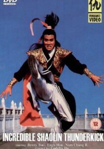 Incredible Shaolin Thunderkick 1982 on netflix