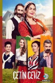 Çetin Ceviz 2016 on netflix