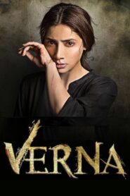 Verna 2017 on netflix