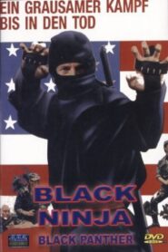 Ninja Death Squad 1987 on netflix