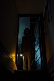 Shadow 2020 on netflix