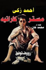 Mr. Karate 1993 on netflix