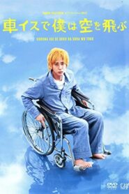 I Will Fly to the Sky on a Wheelchair 2012 on netflix