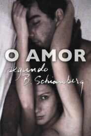 O Amor Segundo B. Schianberg 2010 on netflix