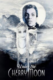 Under the Cherry Moon 1986 on netflix