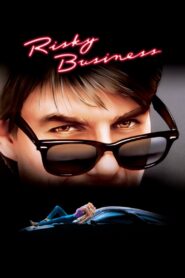 Risky Business 1983 on netflix