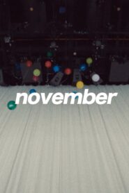 November 2020 on netflix