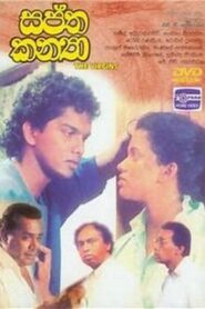 Seven Virgins 1993 on netflix