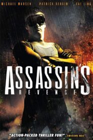 Assassins Revenge 2018 on netflix