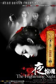 The Frightening Night 2011 on netflix