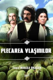 Vlashins’ Leaving 1982 on netflix