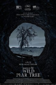 Making of The Wild Pear Tree 2018 on netflix