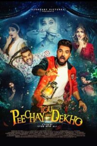 Peechay Tou Dekho 2022 on netflix