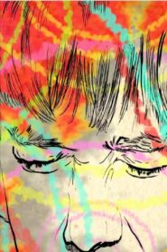 Sensory Issues: The Experience 2013 on netflix