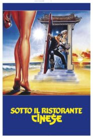 Under the Chinese Restaurant 1987 on netflix