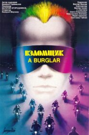 The Burglar 1987 on netflix