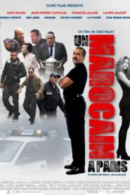 Un Marocain à Paris 2012 on netflix