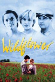 Wildflower 1991 on netflix