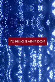 Yu Ming Is Ainm Dom 2003 on netflix
