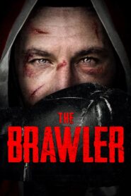 The Brawler 2019 on netflix