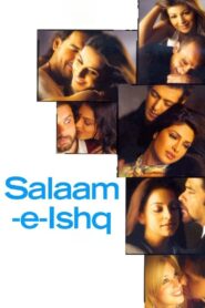 Salaam-e-Ishq 2007 on netflix