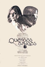 Queridas Amigas 1980 on netflix