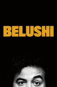 Belushi 2020 on netflix