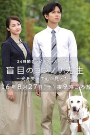 Seeing with the Heart 2016 on netflix