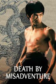 Death by Misadventure: The Mysterious Life of Bruce Lee 1993 on netflix