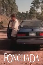 Flattened 1994 on netflix