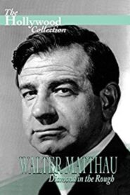 Walter Matthau: Diamond in the Rough 1997 on netflix