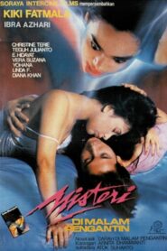 Wedding Night Mystery 1993 on netflix