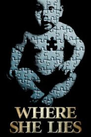Where She Lies 2020 on netflix