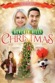 Beverly Hills Christmas 2015 on netflix