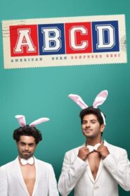 ABCD: American-Born Confused Desi 2013 on netflix