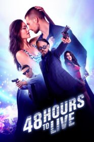 48 Hours to Live 2016 on netflix