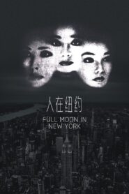 Full Moon in New York 1989 on netflix