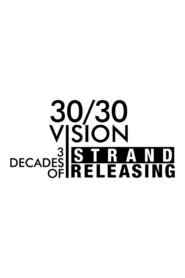 30/30 Vision: Three Decades of Strand Releasing 2019 on netflix