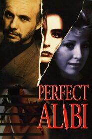Perfect Alibi 1995 on netflix