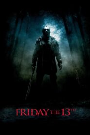 Friday the 13th 2009 on netflix