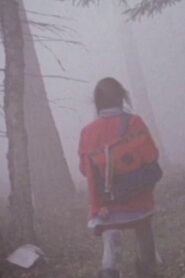 The Girl in the Mist 1997 on netflix