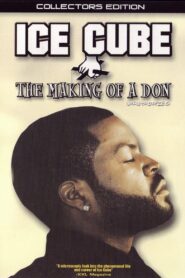Ice Cube: The Making of a Don 2004 on netflix