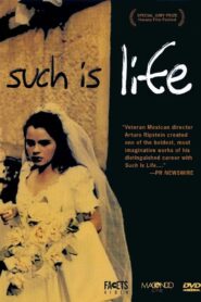 Such is Life 2000 on netflix