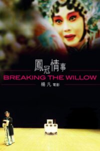 Breaking the Willow 2003 on netflix