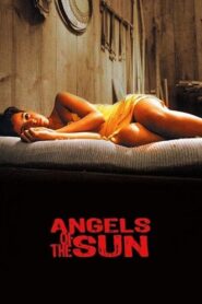 Angels of the Sun 2006 on netflix