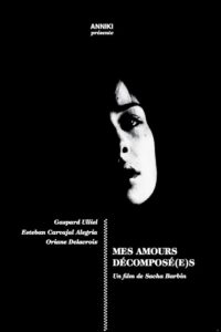 Mes amours décomposé(s) 2012 on netflix