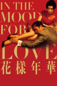In the Mood for Love 2000 on netflix
