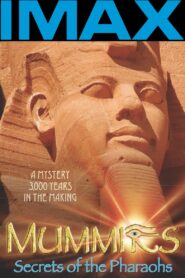 Mummies: Secrets of the Pharaohs 2007 on netflix