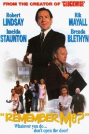 Remember Me? 1997 on netflix