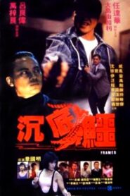 Framed 1989 on netflix